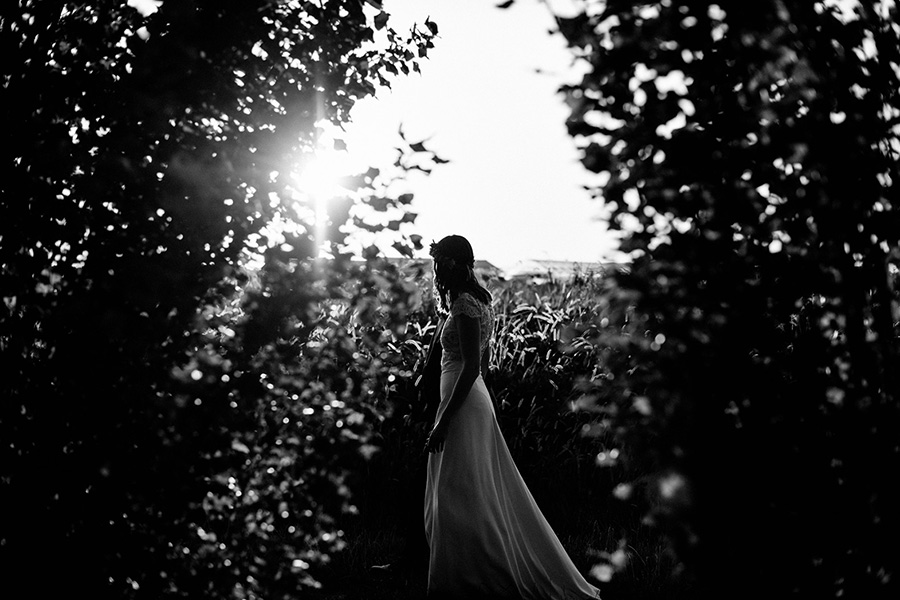 La silhouette d'une mariée apparaît entre deux arbres